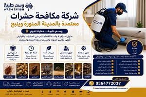 أفضل شركة مكافحة حشرات بالمدينة المنورة